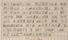 鼻子一酸的经历作文200字