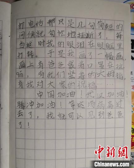 武汉春节流行病构成