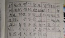 武汉疫情的春节作文