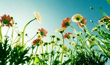 我喜欢这样的春天