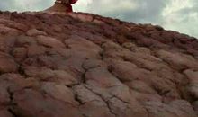 人生路上幸福多