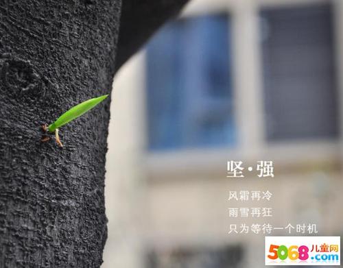 学会在失败中坚强