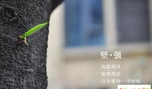 在失败中学会坚强