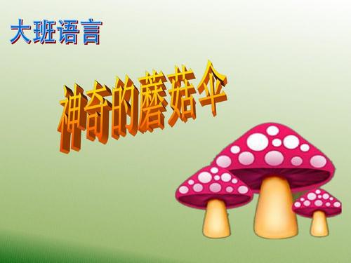 蘑菇伞组成300字