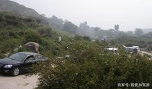 我们一起去踏青