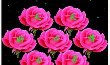 书我一生的朋友