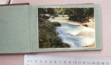 我珍藏的一本相册