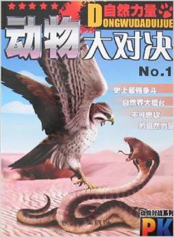 动物比赛