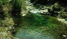 我的第一次旅行