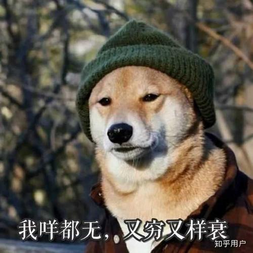 使我的鼻子酸痛