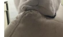 猫先生和鼠小弟