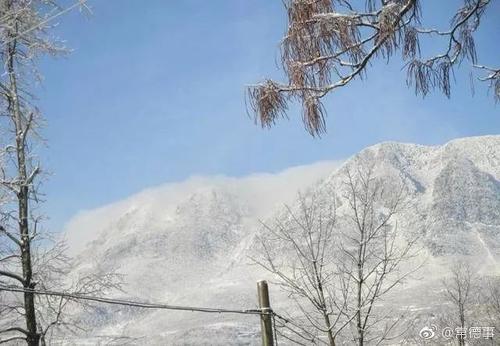 冬天的第一场雪