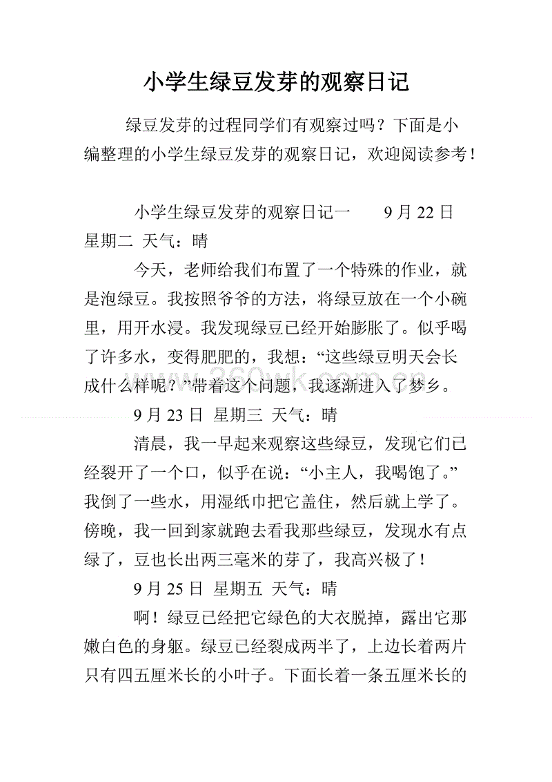 五本绿豆观察日记