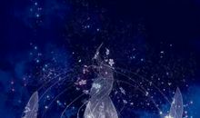 我发现了青春的美