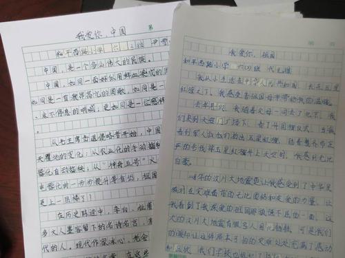 写奶奶的作文