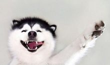 微笑着面对生活