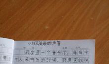 厨房是个音乐厅小练笔