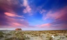 不要在沉默中灭亡