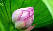 让生命开始绽放精彩