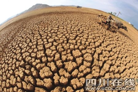 如果我们没有水
