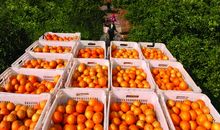 那一刻我整个世界都黯然失色