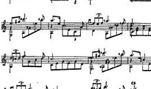 月光下的小夜曲