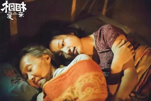 那张陌生而熟悉的面孔
