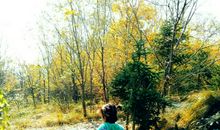 对着大自然微笑