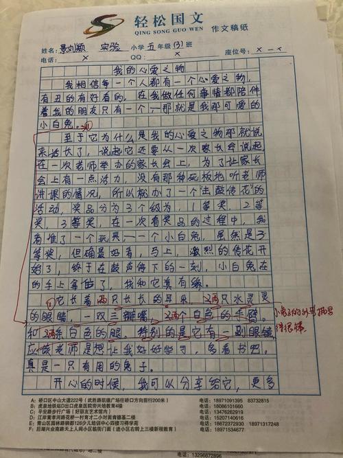 优秀的五年级作文，我钟爱的500个单词