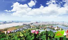 我心中的美庐陵