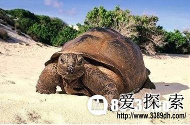 寿命