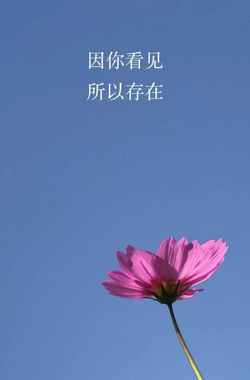 仁慈是一种美德