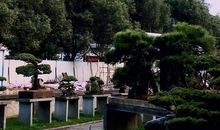 美丽的马鞍池公园