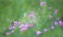 第一次驻步回头