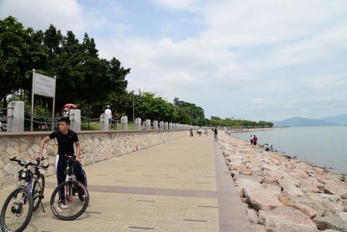 美丽的深圳湾公园