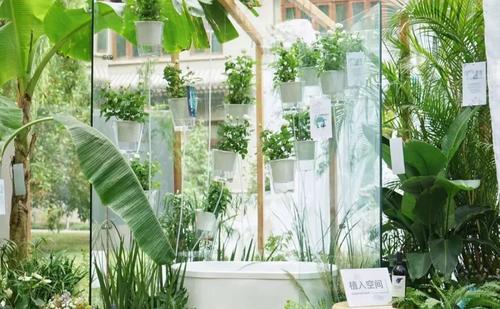 我种的“花”节