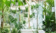 我的植“花”节