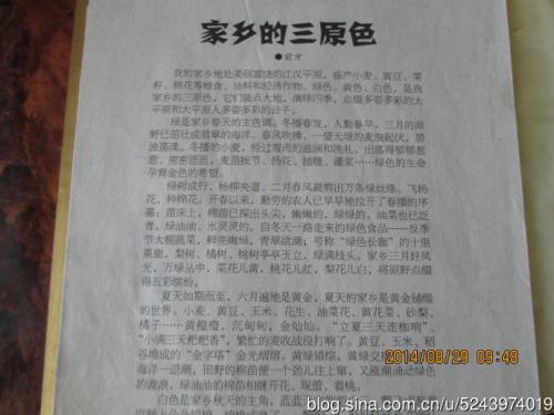 我的故乡正阳梅随笔