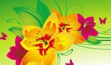 难忘的一个老师