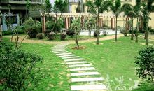 校园里的小公园