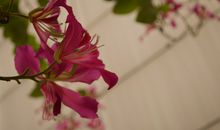 一路遇见，一路失散