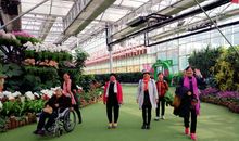 参观兰陵农业园