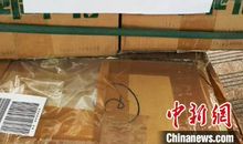 同舟共济对抗疫情