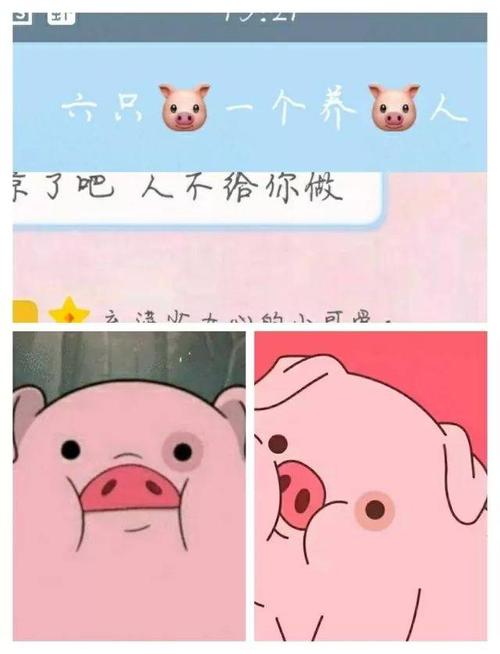 我佩服的同学