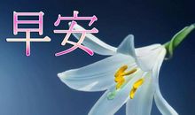 苦涩而美丽的承受