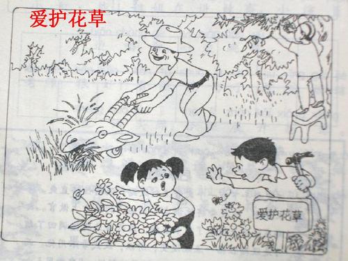 我喜欢花二年级写作