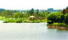 修河生态保护湿地