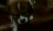 让我难忘的那个人