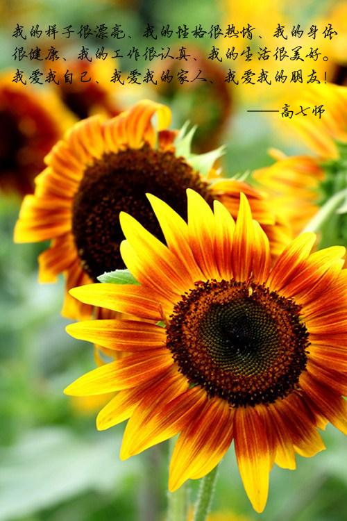 自信花