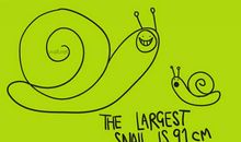 原来学习是那么的有趣